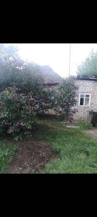 У продажу будинок у Безлюдовка - фото 1