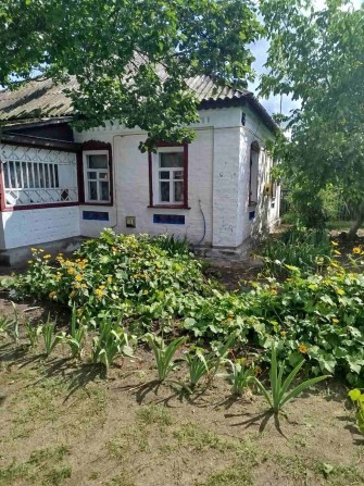 До вашої уваги продається будинок в мальовничому с.Вільхи Золотонісько - фото 1