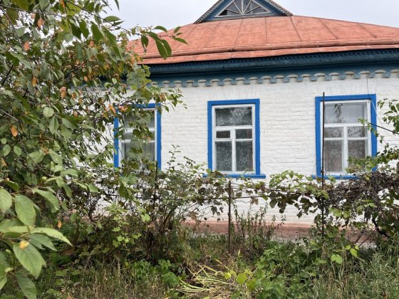 Будинок село Благодатне Благодатне