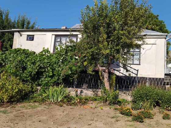 Продам будинок в мальовничому куточку м.Тальне Тальное