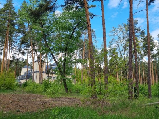 Без комісії! Ділянка 171сот в с.Лютіж, ліс, озеро, 100кВТ електрики, асфальт Лютіж