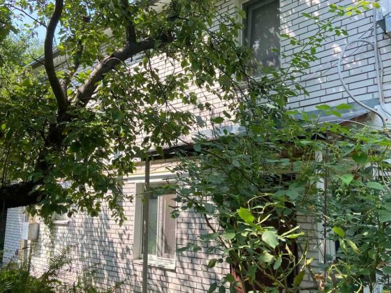 Продам будинок в місті Бориспіль 100 м2 Бориспіль