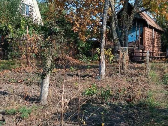 Продам дачу Сухий Яр Белая Церковь