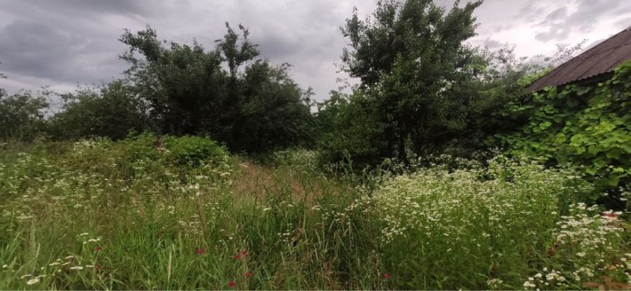 Земельна Ділянка з будинком Бориспільський район - фото 1