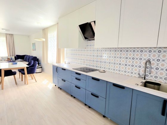 Будинок з МЕБЛЯМИ та ТЕХНІКОЮ на 6 сотках Бориспіль