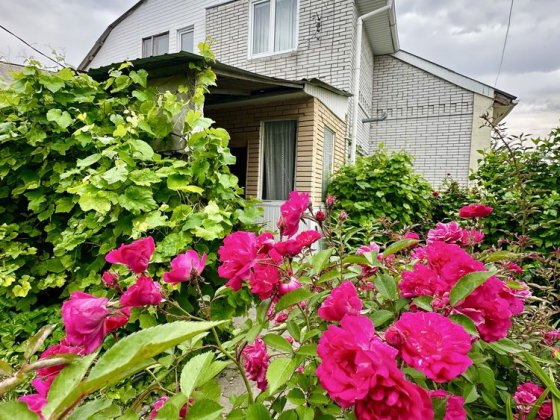 Купівля-продаж половини будинка Бориспіль Чкалова центр 2км Бориспіль