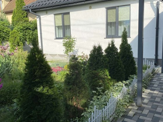 Продам  1 поверховий будинок Бориспіль