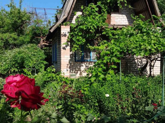 Продам Дачу, с домом и сараем. Кривий Ріг