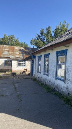 Два будинка в с.Недогарки - фото 1