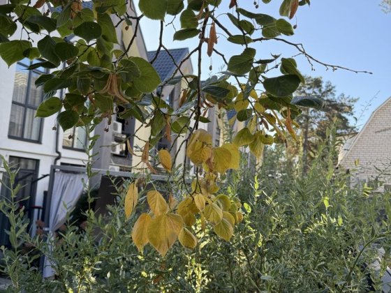 Супер локація.Таун З РЕМОНТОМ.Школи,садки,зупинки поруч.Центр-й парк Ірпінь