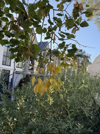 Супер локація.Таун З РЕМОНТОМ.Школи,садки,зупинки поруч.Центр-й парк - фото 1