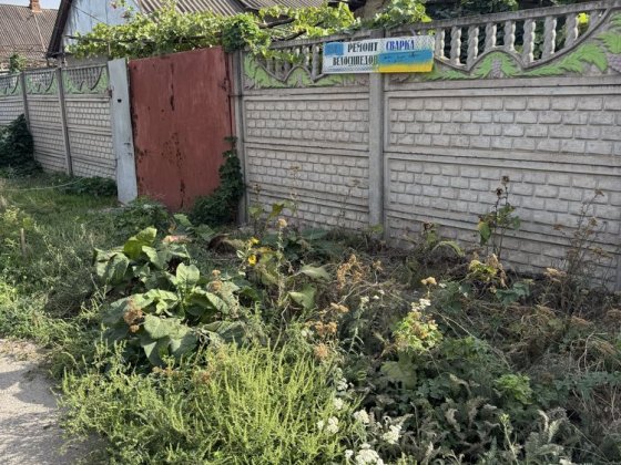 Будинок по вул.Мальвова Кривий Ріг