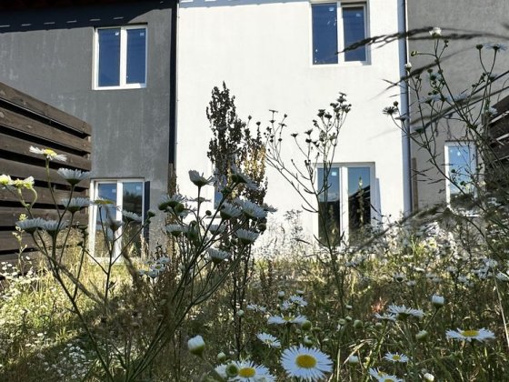 Таунхаус по цене квартиры. Район Рич Тауна. Ірпінь