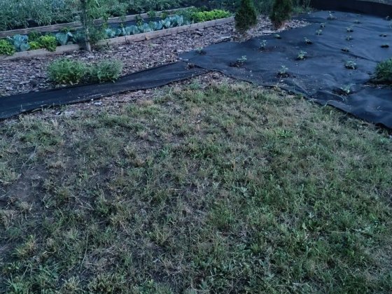 Дача затишна продаж Кривий Ріг