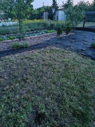 Дача затишна продаж - фото 1