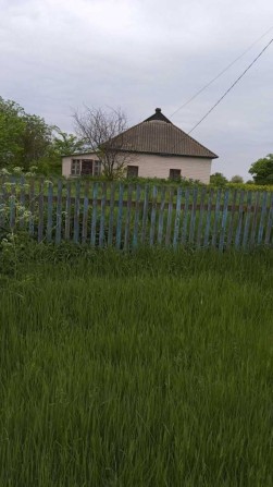 Продаж будинку з  ділянкою, Київська обл., с. Вінинці - фото 1