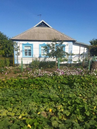 Будинок на Інгульці - фото 1