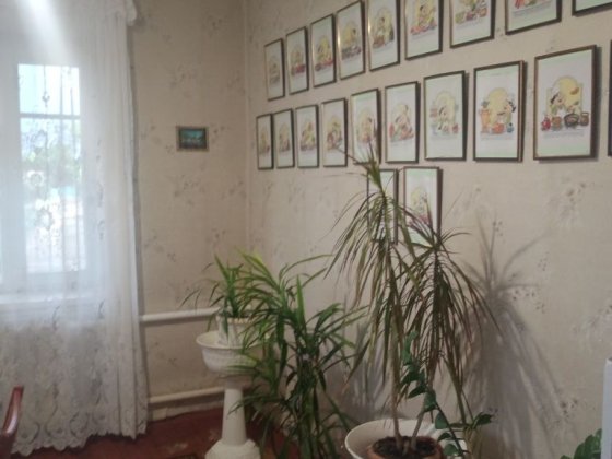 Продаю дом центр--городской Кривий Ріг