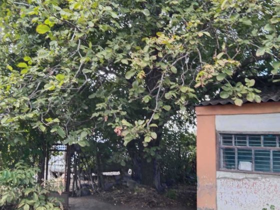 Дача ул И.Огиенко. 7км. Кривий Ріг