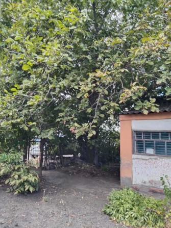 Дача ул И.Огиенко. 7км. - фото 1