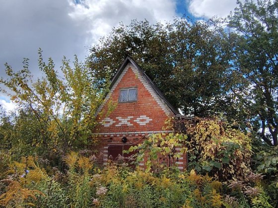 Ціна договірна. Дача Олдиш 86, кооператив Васильок. Суми