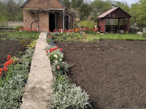 Дача від власника Суми