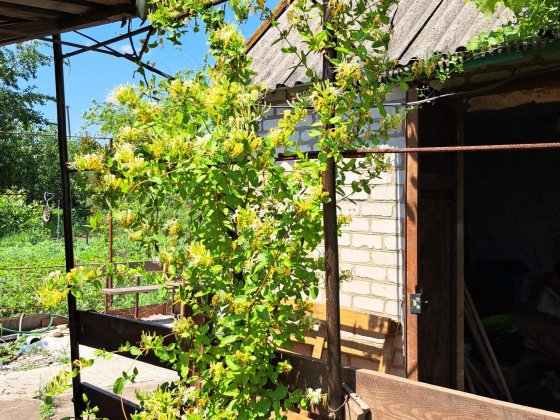 Продам дачу. СТ "Прогрес", Тернівський район Кривий Ріг