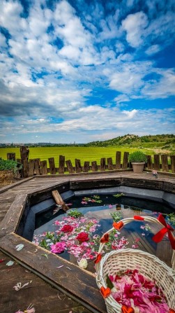 Тереторія з панарамою - фото 1