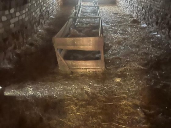 Продается Ферма Кривий Ріг