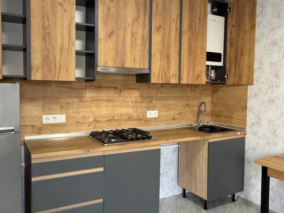 пів будинку, зі своїм двориком , Панаса Мирного, євроремонт Полтава