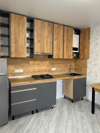 пів будинку, зі своїм двориком , Панаса Мирного, євроремонт - фото 1