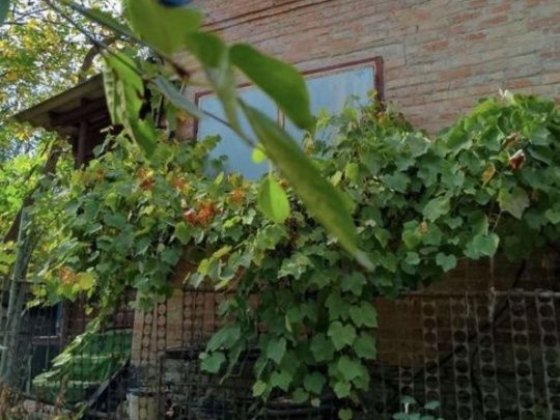 Продається  будинок Полтава