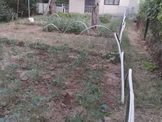 Житло у районі кінцевої зупинки Балакіна. Полтава