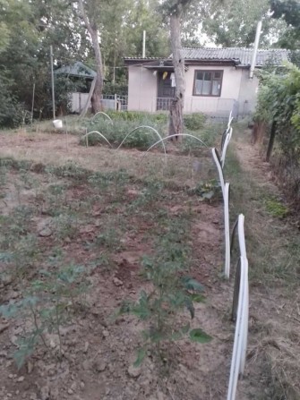 Житло у районі кінцевої зупинки Балакіна. - фото 1