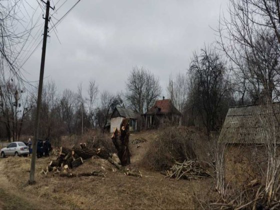 Будинок у Мачухах на 25 сотках землі Полтава