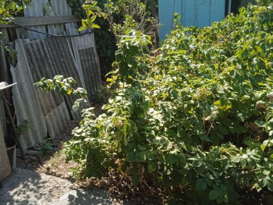 Продам або обміняю частину будинку Херсон