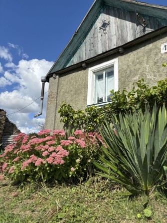 Продаж будинку с.Карпилівка - фото 1