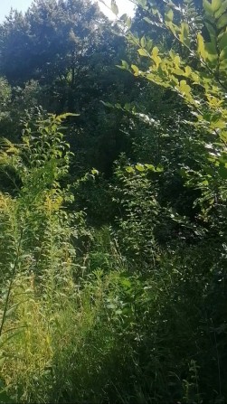 Продається двох поверхова дача, район Цецено - фото 1