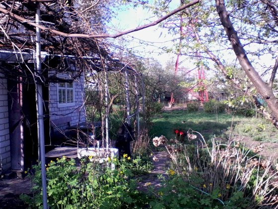 Продаж Дача Черкаси кооператив Енергетик район Зеленой Черкаси