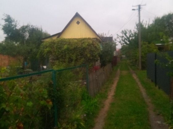 Продам дачу Жавинка СТ Горизонт (власник) Чернигов
