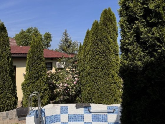 Власний будинок з басейном Ужгород