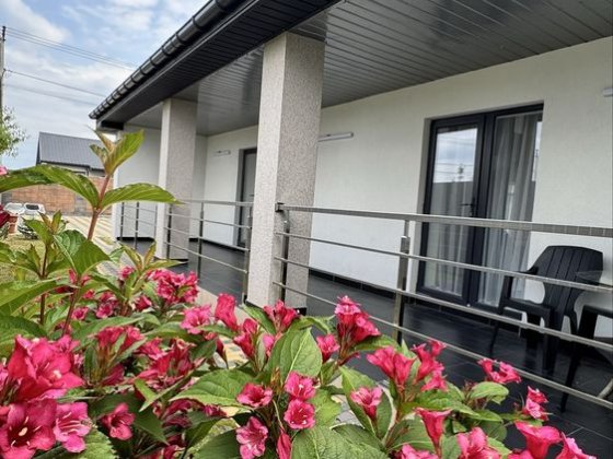 Продаж американки Ужгород