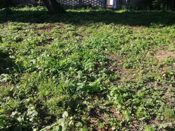 Продам будинок Київ Голосіївський, Солом'янський земельна ділянка Киев