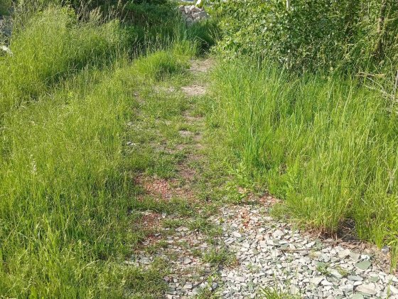 17 тис. - за все. Продам дачу вагончик ( зем.діляNкy)  в Києві. Жуляни Киев