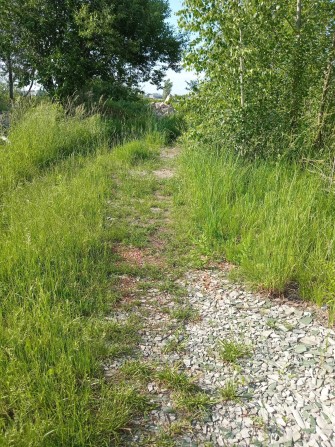 17 тис. - за все. Продам дачу вагончик ( зем.діляNкy)  в Києві. Жуляни - фото 1