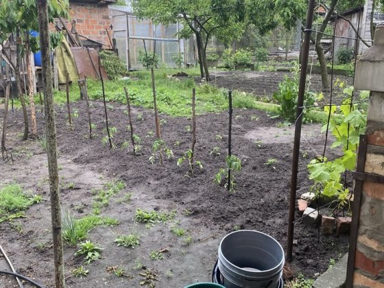 Частина будинку з окремим двором плюс квартира Максютова Житомир