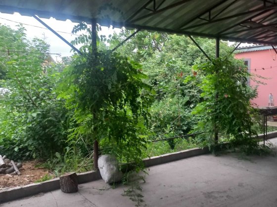 Продам капитальный ДОМ-дачу, 2018 г\п. Ремонт. Проспект Б.Хмельницкого Днепр