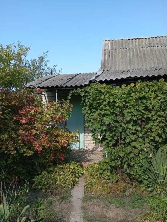 Продам дачу біля річки - фото 1