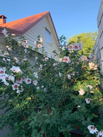 Продам дом у м Дніпро  Собственник - фото 1