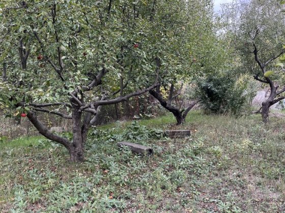 Продам дачу в черте города Запорожье